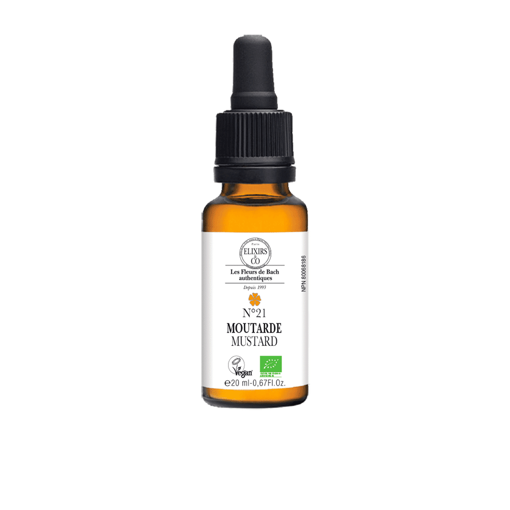 ORGANIC SINGLE BACH FLOWER ELIXIRS No21 Mustard BIO 20 mL