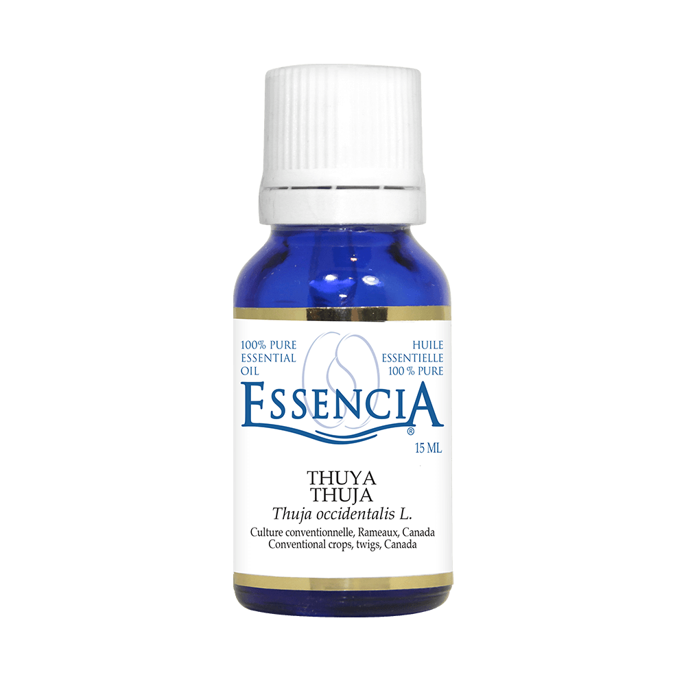 ESSENTIAL OILS (CONT  D) Thuya (Thuya occidentalis) 15 mL