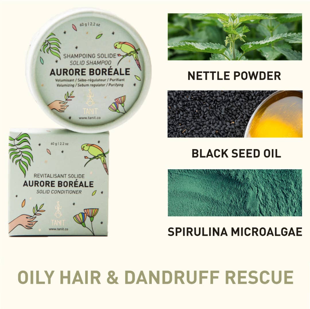 Shampoo Bar Aurore Boréale — Oily & delicate hair rescue